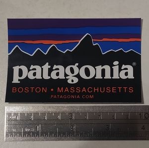 Patagonia Boston decal sticker